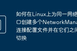 如何在Linux上为同一网络接口创建多个NetworkManager连接配置文件并在它们之间切换
