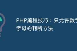 PHP编程技巧：只允许数字和字母的判断方法