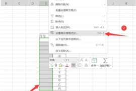 Excel怎么批量输入带括号的序号？Excel批量输入带括号的序号技巧分享
