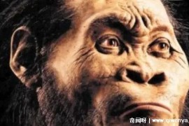 地球上第一个人是谁，地猿始祖阿尔迪(440万年前的人类)