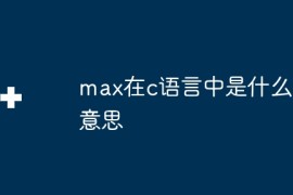 max在c语言中是什么意思