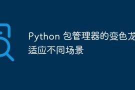 Python 包管理器的变色龙：适应不同场景