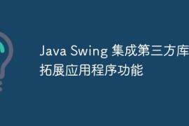 Java Swing 集成第三方库：拓展应用程序功能