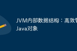 JVM内部数据结构：高效管理Java对象
