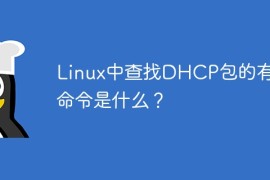 Linux中查找DHCP包的有效命令是什么？