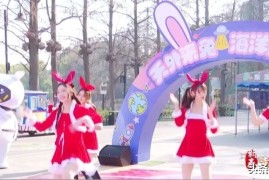 春节去哪玩丨武汉东湖海洋乐园“天外来兔”闹新春