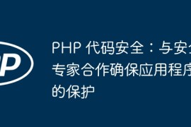 PHP 代码安全：与安全专家合作确保应用程序的保护