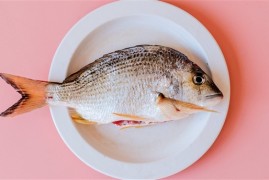 为什么烤鱼大多2.8斤一条 业内人士揭秘