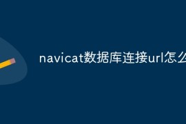 navicat数据库连接url怎么写