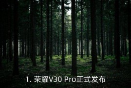 荣耀v30pro官方售价,荣耀V30 Pro正式发布：售价曝光