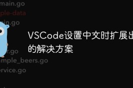 VSCode设置中文时扩展出错的解决方案