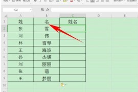 在Excel表格中怎么合并姓名 Excel表格中合并姓名的方法