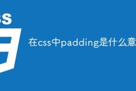 在css中padding是什么意思