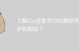 了解Go语言中DNS解析的异步机制吗？