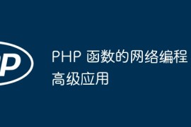PHP 函数的网络编程高级应用