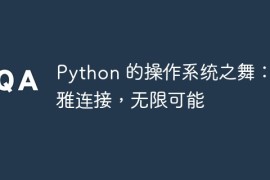 Python 的操作系统之舞：优雅连接，无限可能
