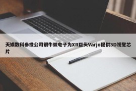 天娱数科参投公司银牛微电子为XR巨头Varjo提供3D视觉芯片