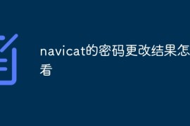 navicat的密码更改结果怎么看