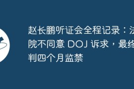 赵长鹏听证会全程记录：法院不同意 DOJ 诉求，最终仅判四个月监禁