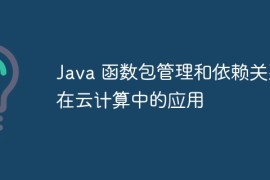 Java 函数包管理和依赖关系在云计算中的应用