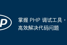 掌握 PHP 调试工具，高效解决代码问题