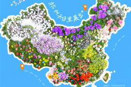  头花成春日顶流！淘宝联合手工艺人打造巨幅“中国簪花地图”