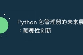 Python 包管理器的未来展望：颠覆性创新