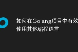 如何在Golang项目中有效地使用其他编程语言