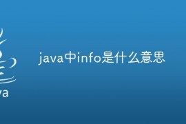 java中info是什么意思