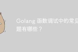 Golang 函数调试中的常见问题有哪些？