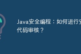 Java安全编程：如何进行安全代码审核？