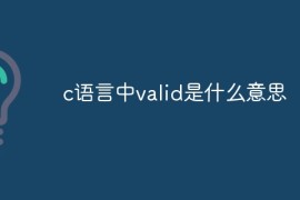 c语言中valid是什么意思