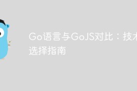 Go语言与GoJS对比：技术栈选择指南