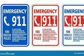 911急救先遣队（关于911急救先遣队的基本详情介绍）