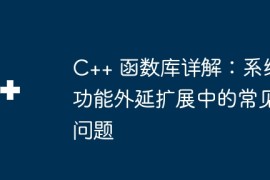 C++ 函数库详解：系统功能外延扩展中的常见问题