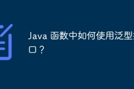 Java 函数中如何使用泛型接口？
