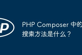 PHP Composer 中的包搜索方法是什么？