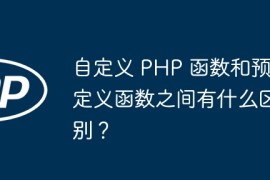 自定义 PHP 函数和预定义函数之间有什么区别？