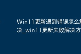 Win11更新遇到错误怎么解决？win11更新失败解决方法