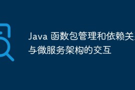 Java 函数包管理和依赖关系与微服务架构的交互