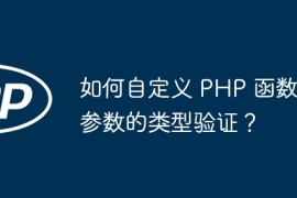 如何自定义 PHP 函数参数的类型验证？