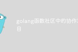 golang函数社区中的协作项目