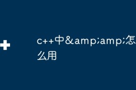 c++中&amp;amp;怎么用