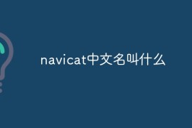 navicat中文名叫什么