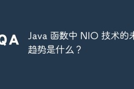 Java 函数中 NIO 技术的未来趋势是什么？