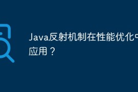 Java反射机制在性能优化中的应用？