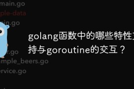 golang函数中的哪些特性支持与goroutine的交互？
