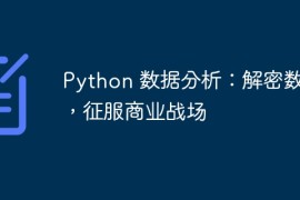 Python 数据分析：解密数据，征服商业战场