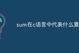 sum在c语言中代表什么意思