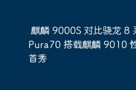 麒麟 9000S 对比骁龙 8 系 Pura70 搭载麒麟 9010 性能首秀